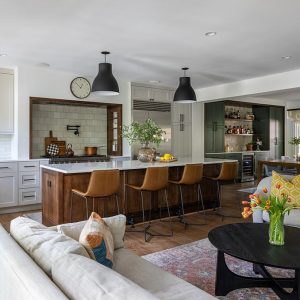 f16-Tri-Vista-Interior-250-500k