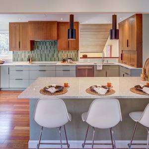 f23-Levine-Group-KitOver150K